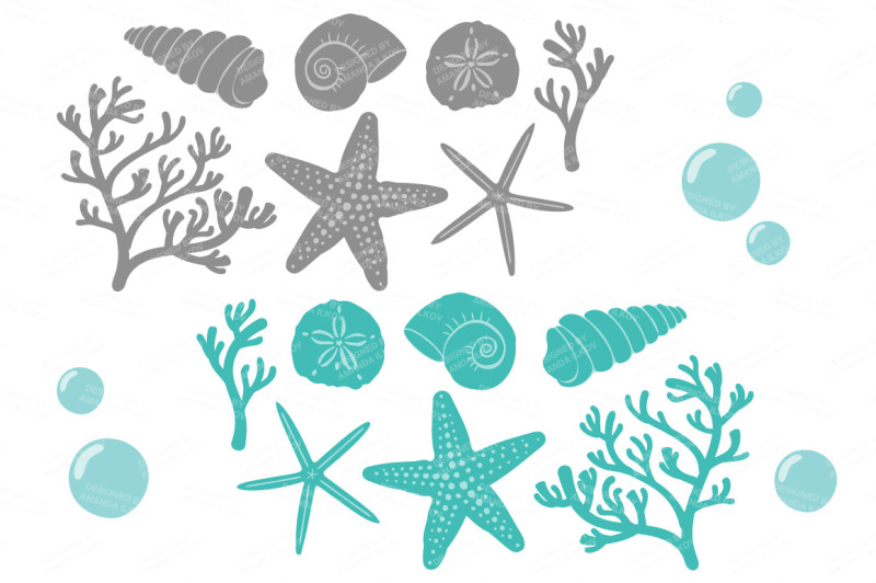seashore-shells-and-coral-clipart-in-land-and-sea