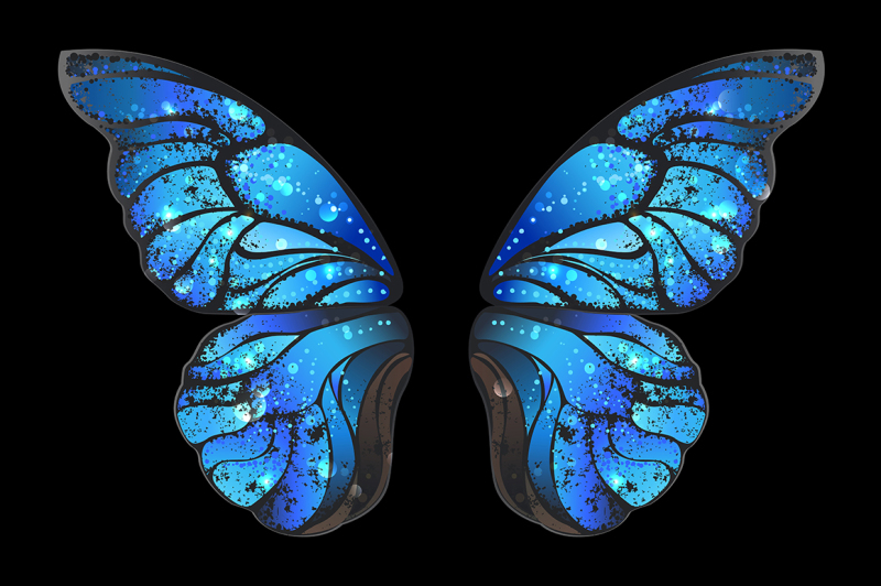 blue-butterfly-wings