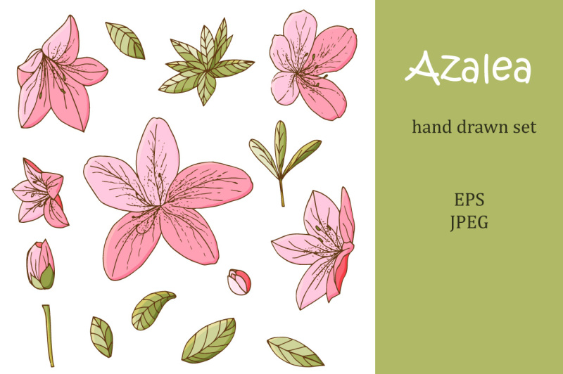 azalea-hand-drawn-set