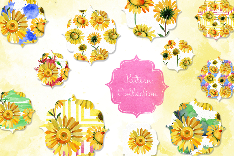 wildflower-yellow-chamomile-png-watercolor-set