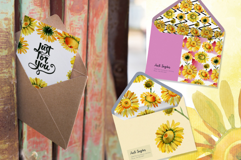 wildflower-yellow-chamomile-png-watercolor-set