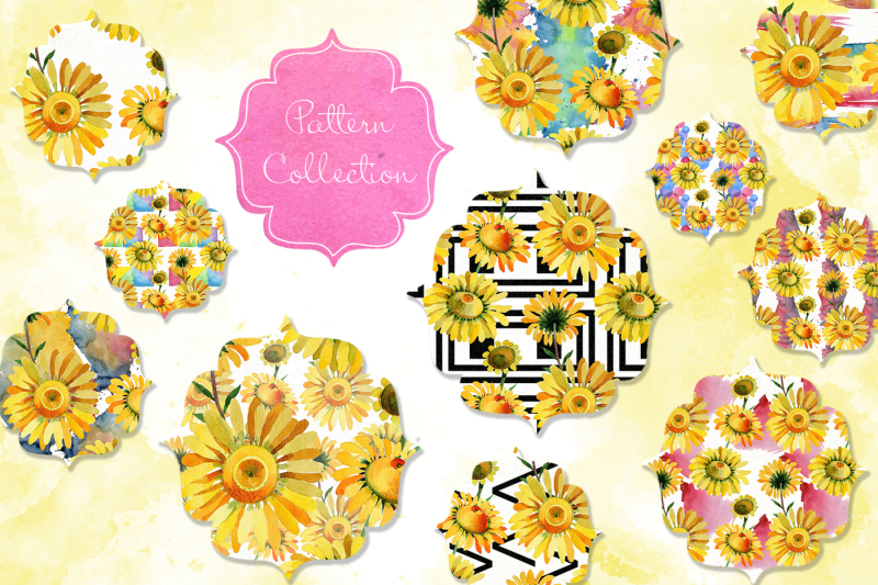 wildflower-yellow-chamomile-png-watercolor-set