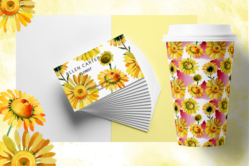 wildflower-yellow-chamomile-png-watercolor-set