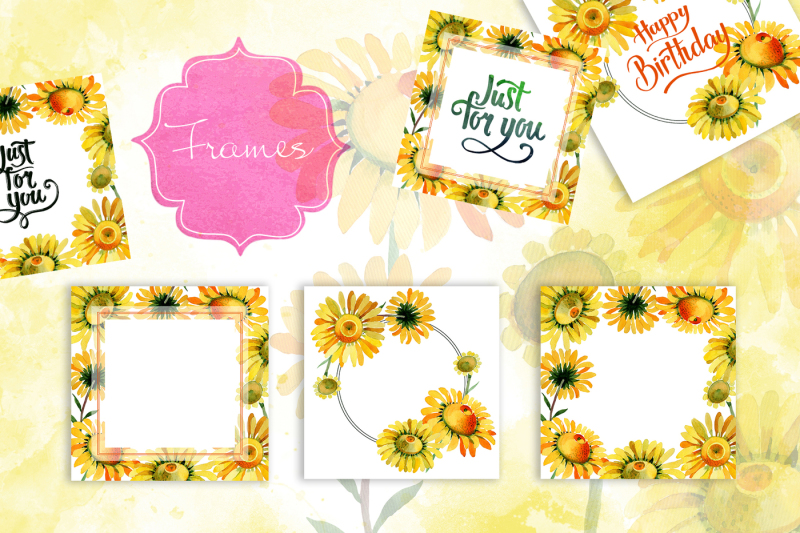 wildflower-yellow-chamomile-png-watercolor-set