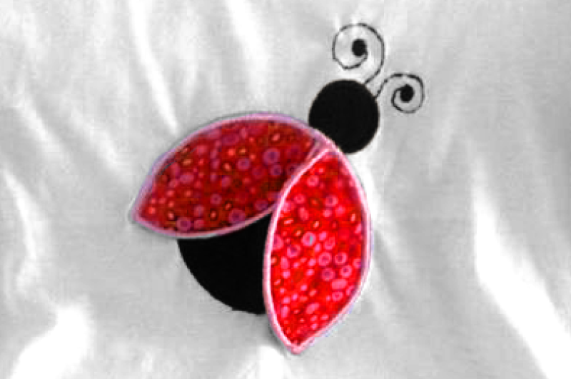 ladybug-with-3d-wings-applique-embroidery