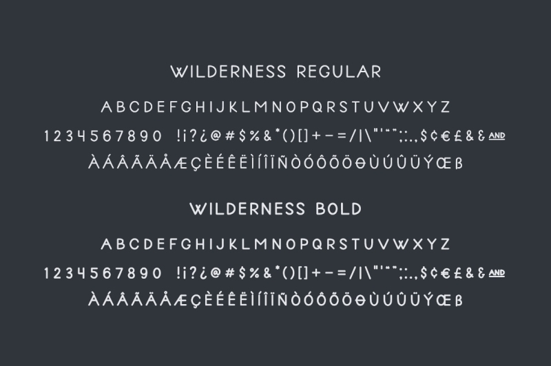 wilderness-handwritten-sans-serif