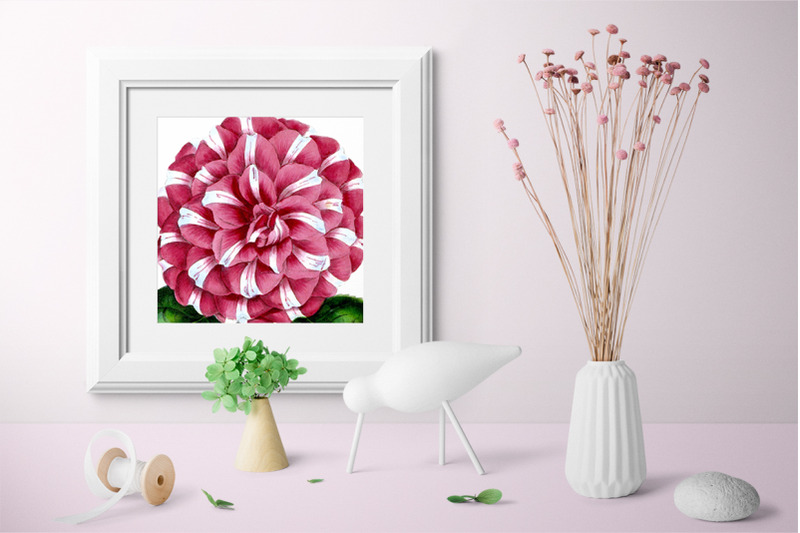 pink-flowers-clipart