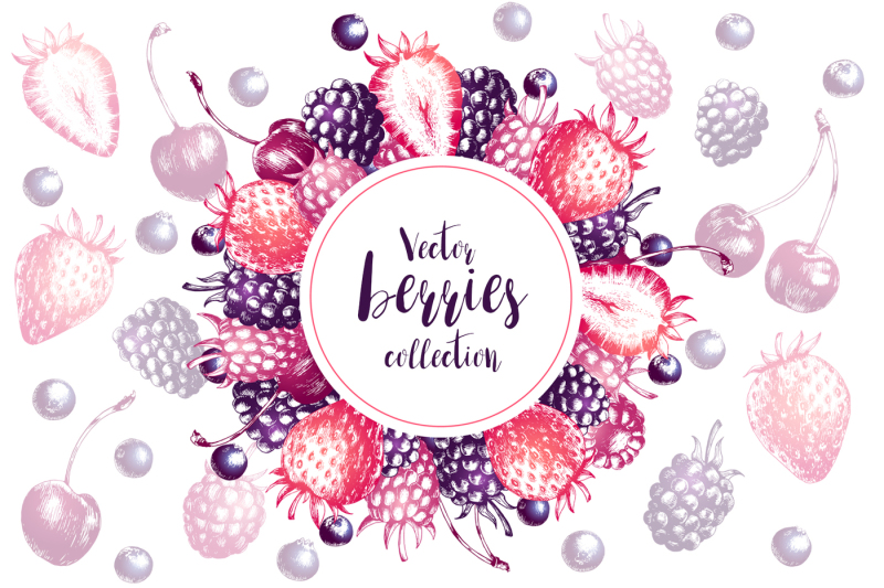 vector-berries-collection