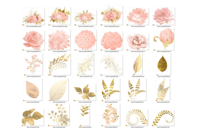 blush-and-gold-floral-clipart