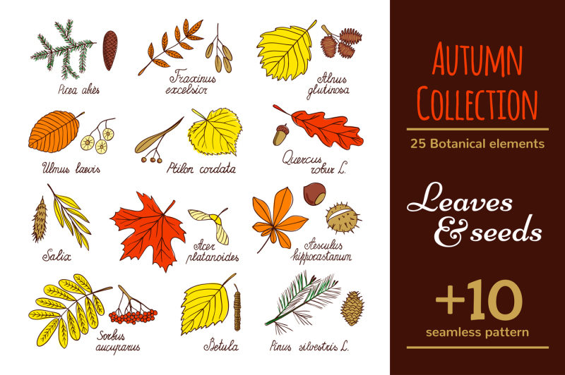 leaves-and-seed-autumn-collection
