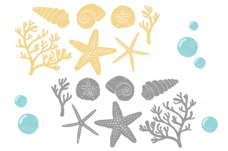 seashore-shells-and-coral-clipart-in-sunshine