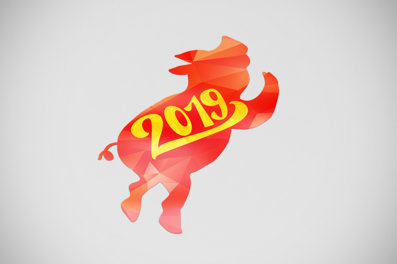 2019-new-year-symbols-set