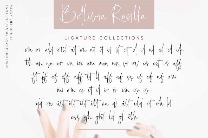 bollivia-rosilla-script