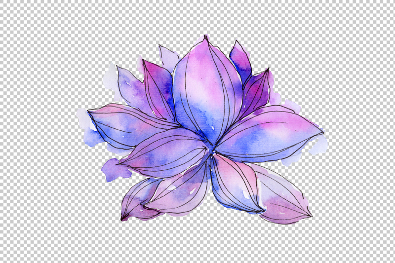 aquarelle-lotus-flowers-png-set