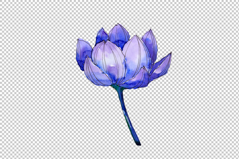 aquarelle-lotus-flowers-png-set