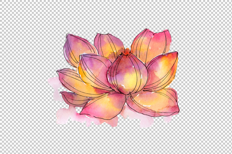 aquarelle-lotus-flowers-png-set