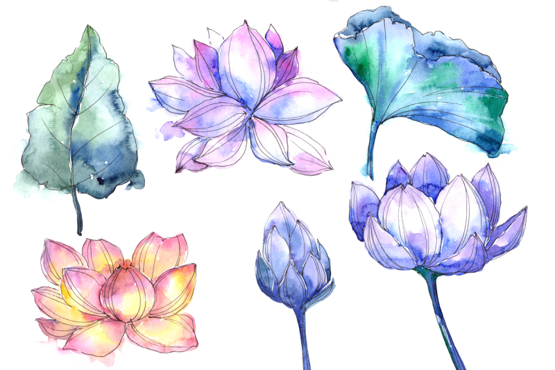 aquarelle-lotus-flowers-png-set