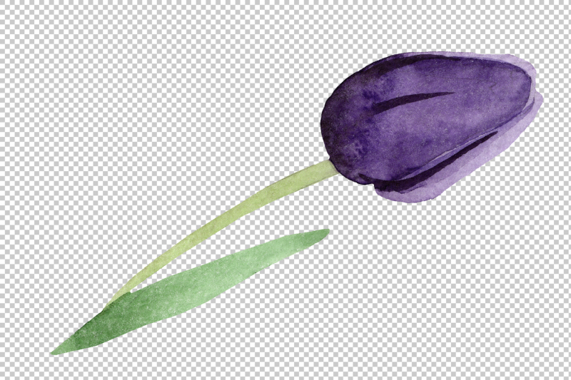 black-tulips-png-watercolor-flower-set-nbsp