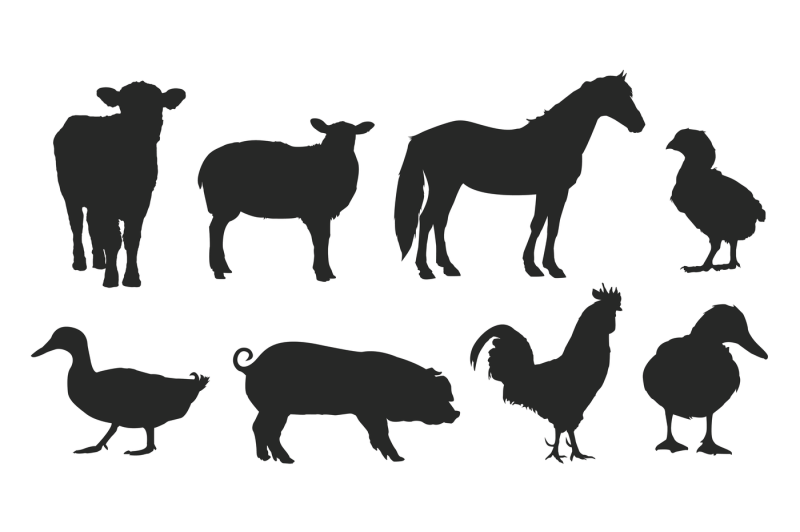 livestock-silhouettes-for-crafters