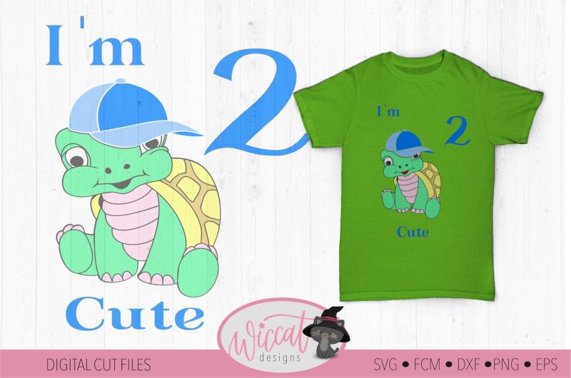 Download Birthday boy Turtle svg, I'm 2 cute, Toddler Second ...