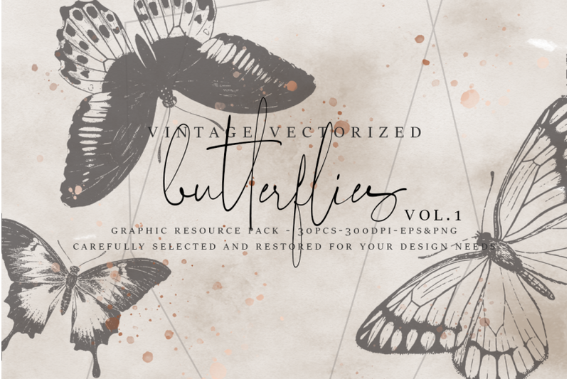 vintagevectorized-butterflies-clipart