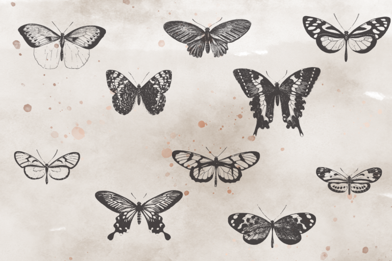 vintagevectorized-butterflies-clipart