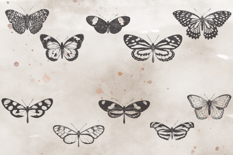 vintagevectorized-butterflies2-clipart