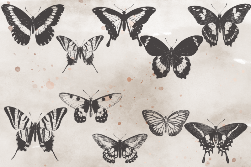 vintagevectorized-butterflies2-clipart
