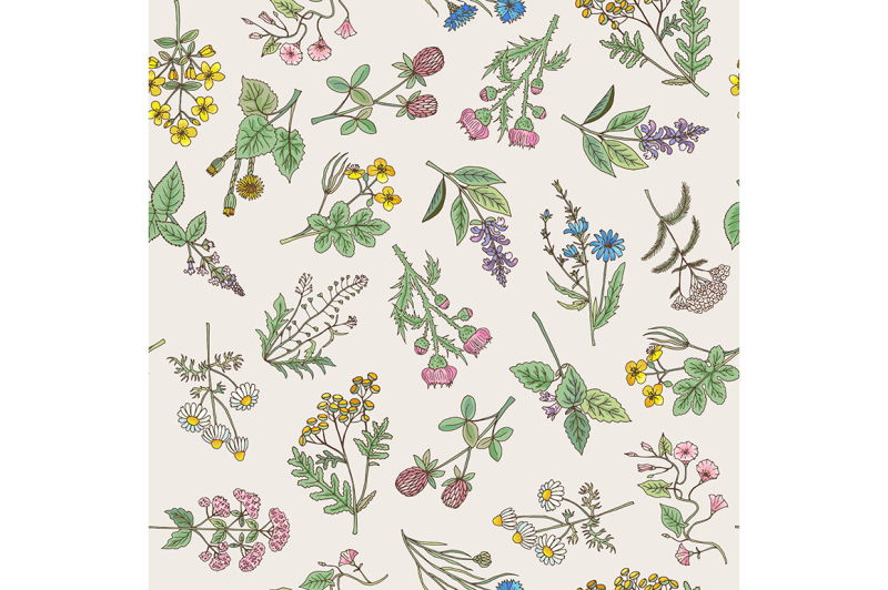 seamless-pattern-of-various-hand-drawn-herbs-and-flowers