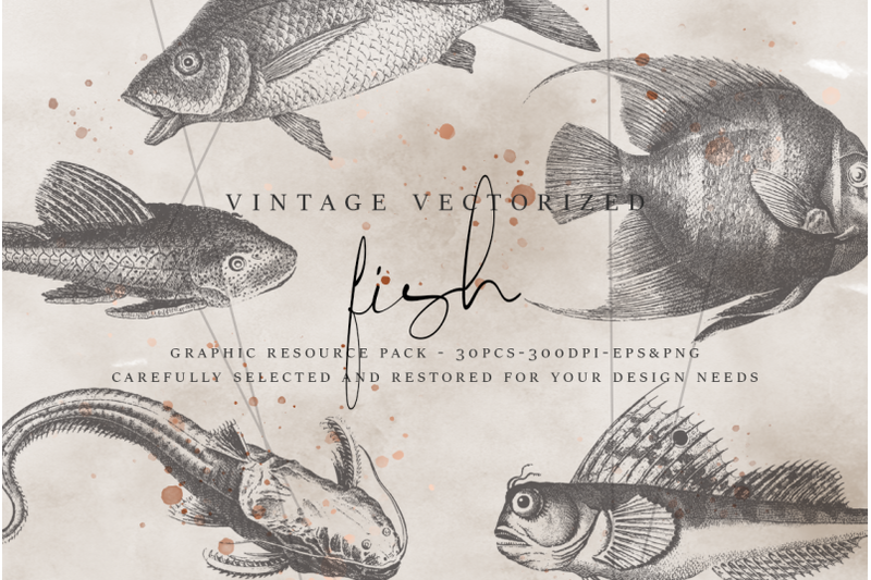 vintagevectorized-fish-clipart