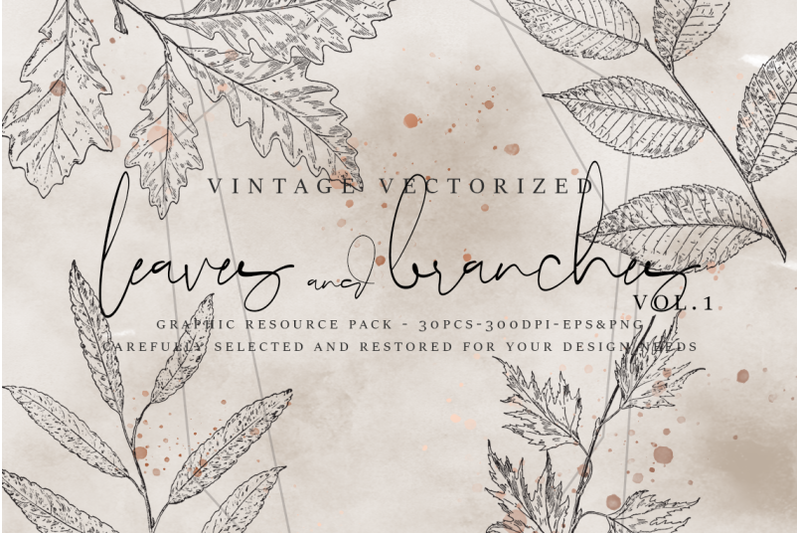 vintagevectorized-leaves-clipart