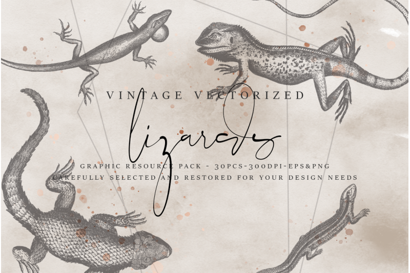 vintagevectorized-lizards-clipart