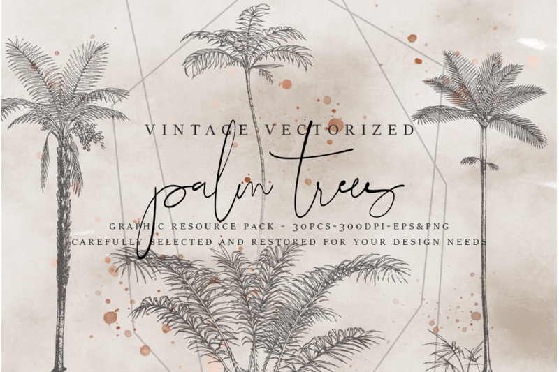vintagevectorized-palms-clipart