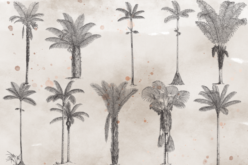 vintagevectorized-palms-clipart
