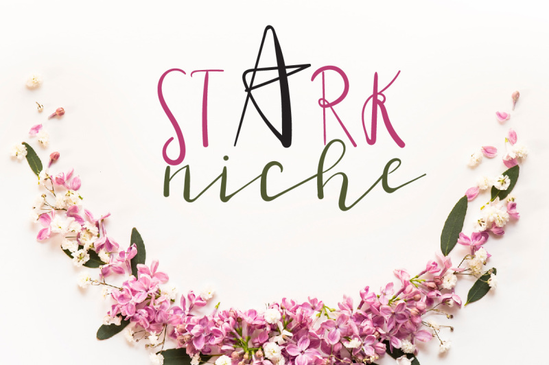 stark-niche-script-font-by-watercolor-floral-designs