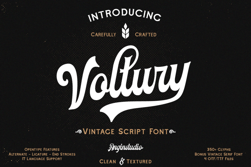 voltury-4-fonts-with-extras