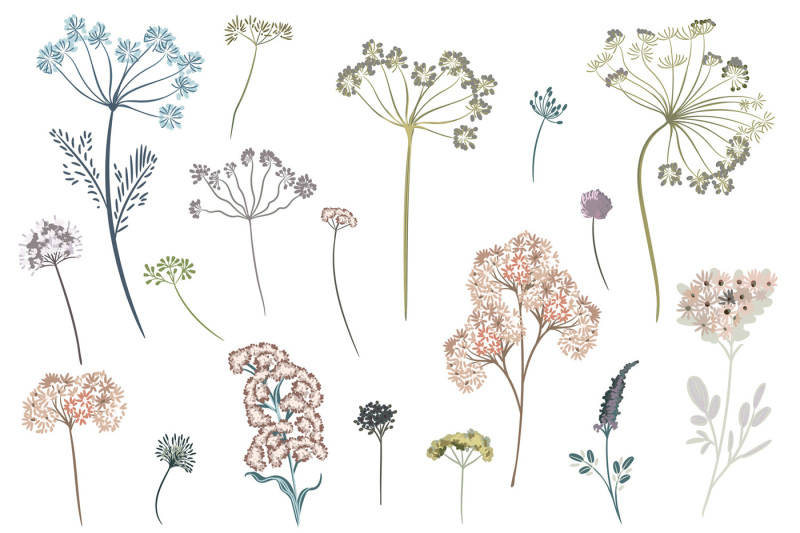 flora-huge-illustration-bundle-50-percent-off