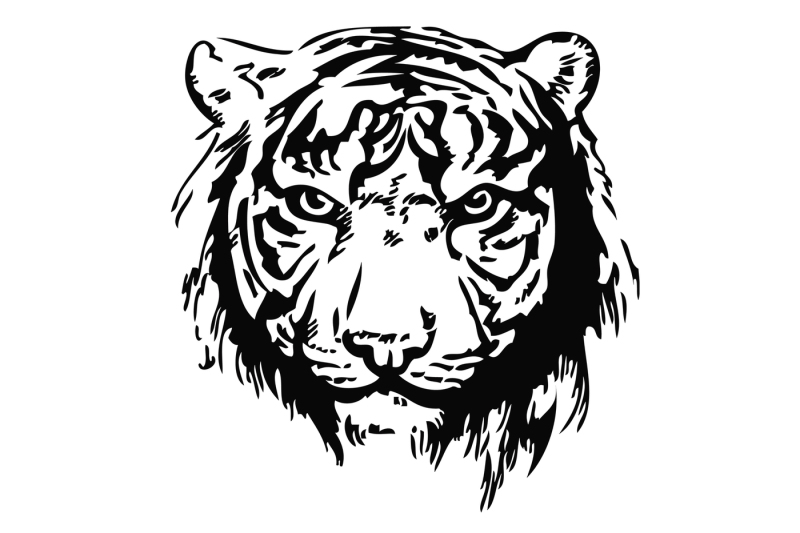 tiger-head-hand-drawn-vector