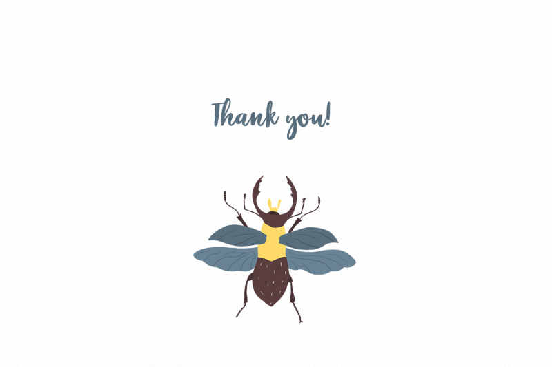 beetles-png-clipart