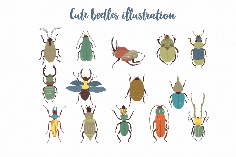 beetles-png-clipart