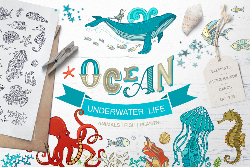 ocean-underwater-life