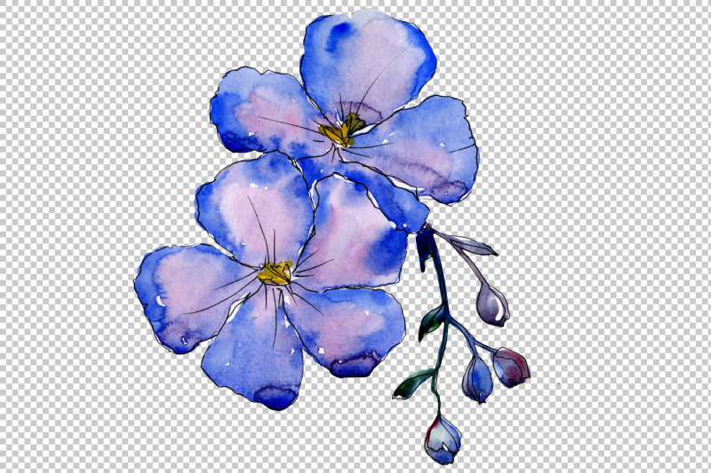 wildflower-blue-flax-png-watercolor-set-nbsp