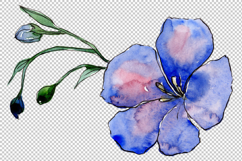 wildflower-blue-flax-png-watercolor-set-nbsp