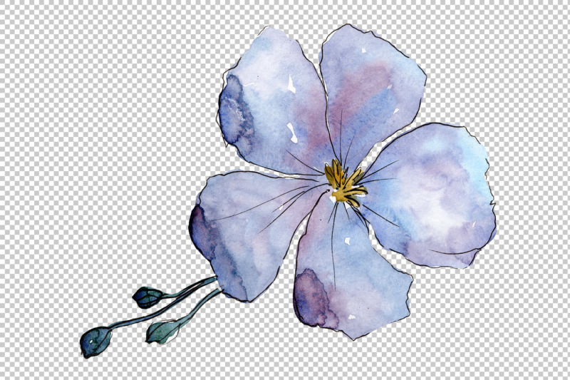 wildflower-blue-flax-png-watercolor-set-nbsp