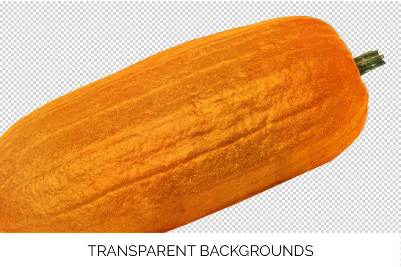 pumpkin-clipart