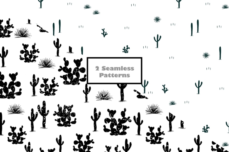 cacti-world-big-vector-collection
