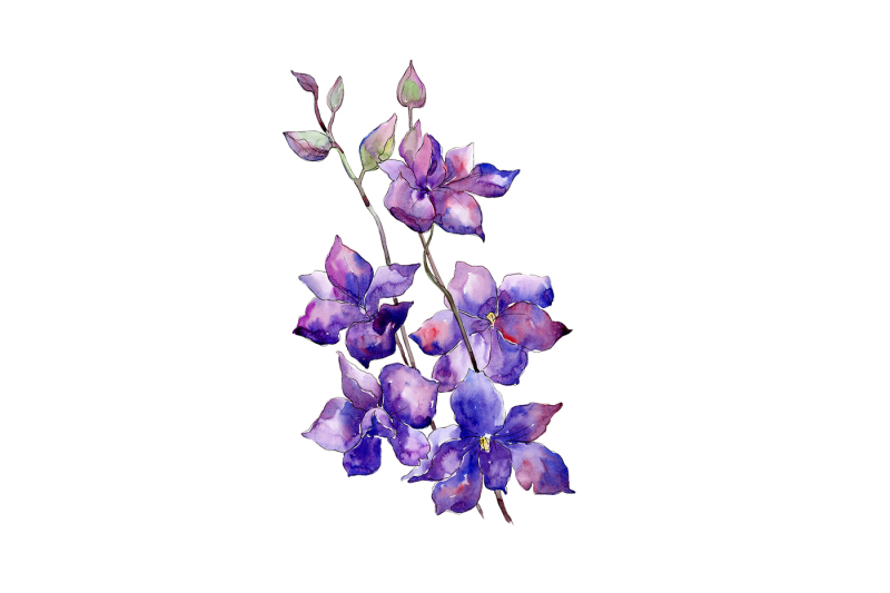 bouquet-of-purple-flowers-png-watercolor-set