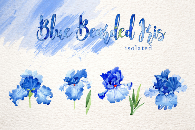 blue-bearded-iris-png-watercolor-set-nbsp