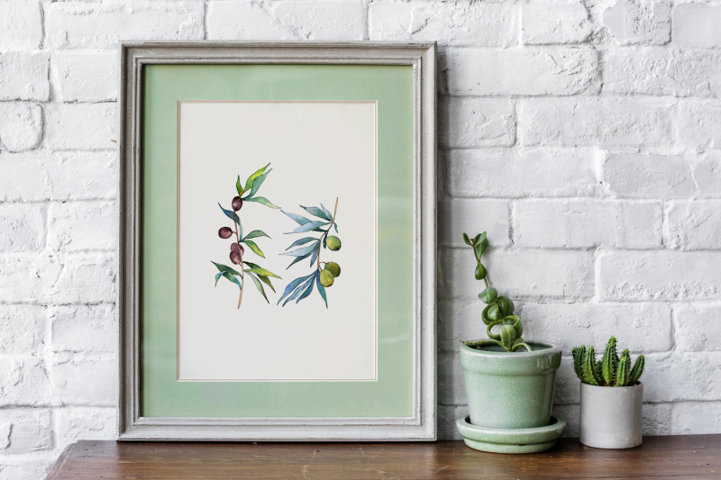 branches-of-an-olive-tree-png-watercolor-set