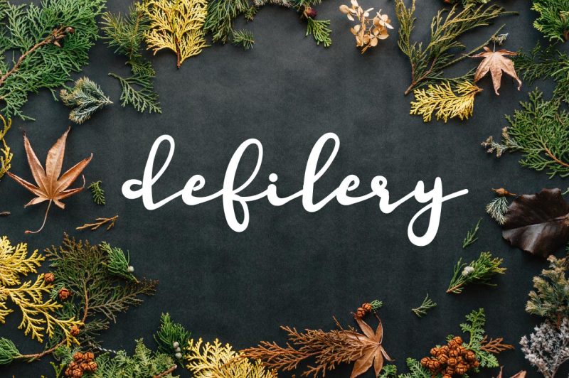 defilery-script-font-by-watercolor-floral-designs